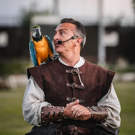ベッド・アンド・ブレックファスト Masseria Mazzetta Salento Corte Del Falconiere サリーチェ・サレンティーノ