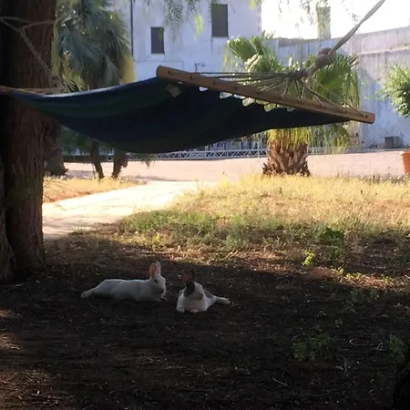 Masseria Mazzetta Salento Corte Del Falconiere サリーチェ・サレンティーノ
