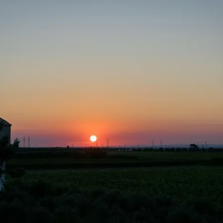 Masseria Mazzetta Salento Corte Del Falconiere